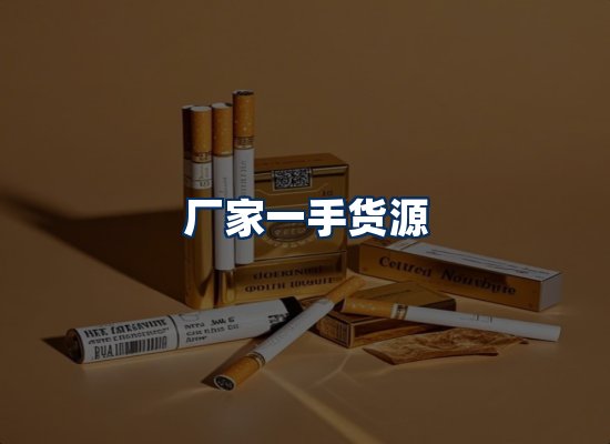 专业团队办公环境